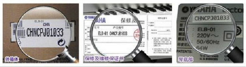 紧急声明：谨防利来w66电子琴假冒伪劣商品 